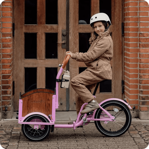Chanty Cargo Mini – Rosa