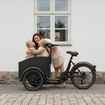 Bicicleta eléctrica Chanty Cargo City