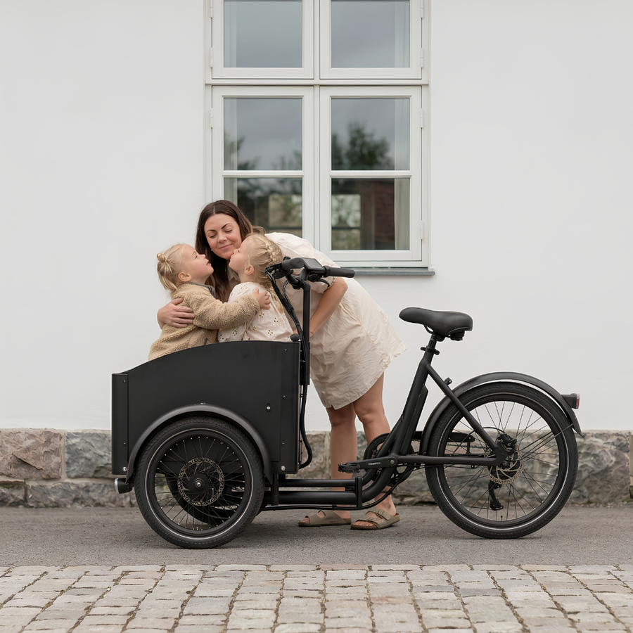 Bicicleta eléctrica Chanty Cargo City