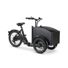 Chanty Cargo Teen Electric