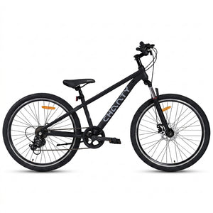 Chanty MTB 26