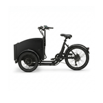 Chanty Cargo Teen Electric