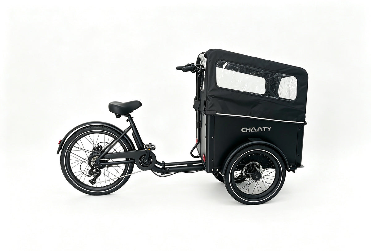 Bicicleta eléctrica Chanty Cargo City