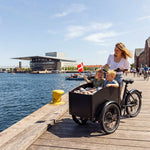 Chanty Cargo City Bike Electric