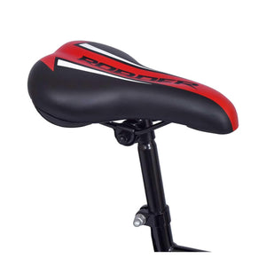 Bicicleta infantil Chanty de 24