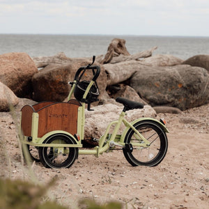 Chanty Cargo Mini - Verde