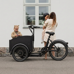 Bicicleta eléctrica Chanty Cargo City