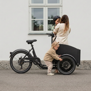 Bicicleta eléctrica Chanty Cargo City