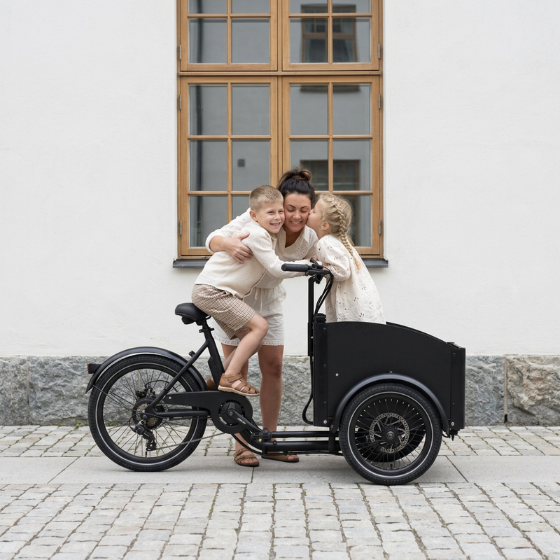 Bicicleta eléctrica Chanty Cargo City