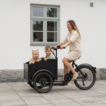 Bicicleta eléctrica Chanty Cargo City