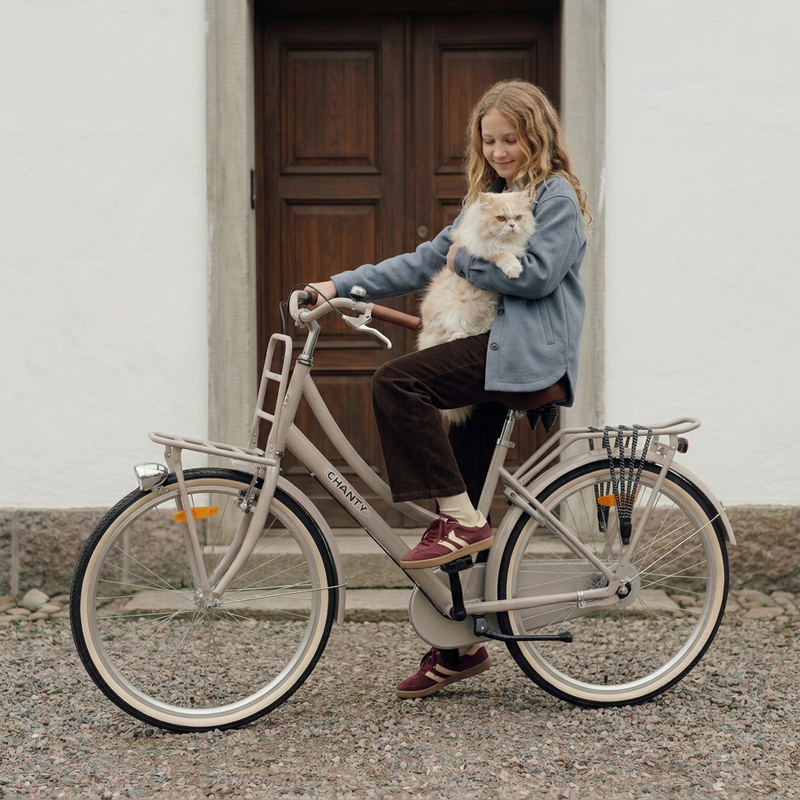Bicicleta infantil Chanty – Ciudad – 26 Arena  